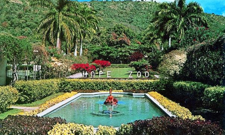 The Largest Park In Kingston Jamaica Hope Garden